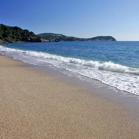 A Deux Pas De La Plage De Sable Le Pradet Bagian luar foto