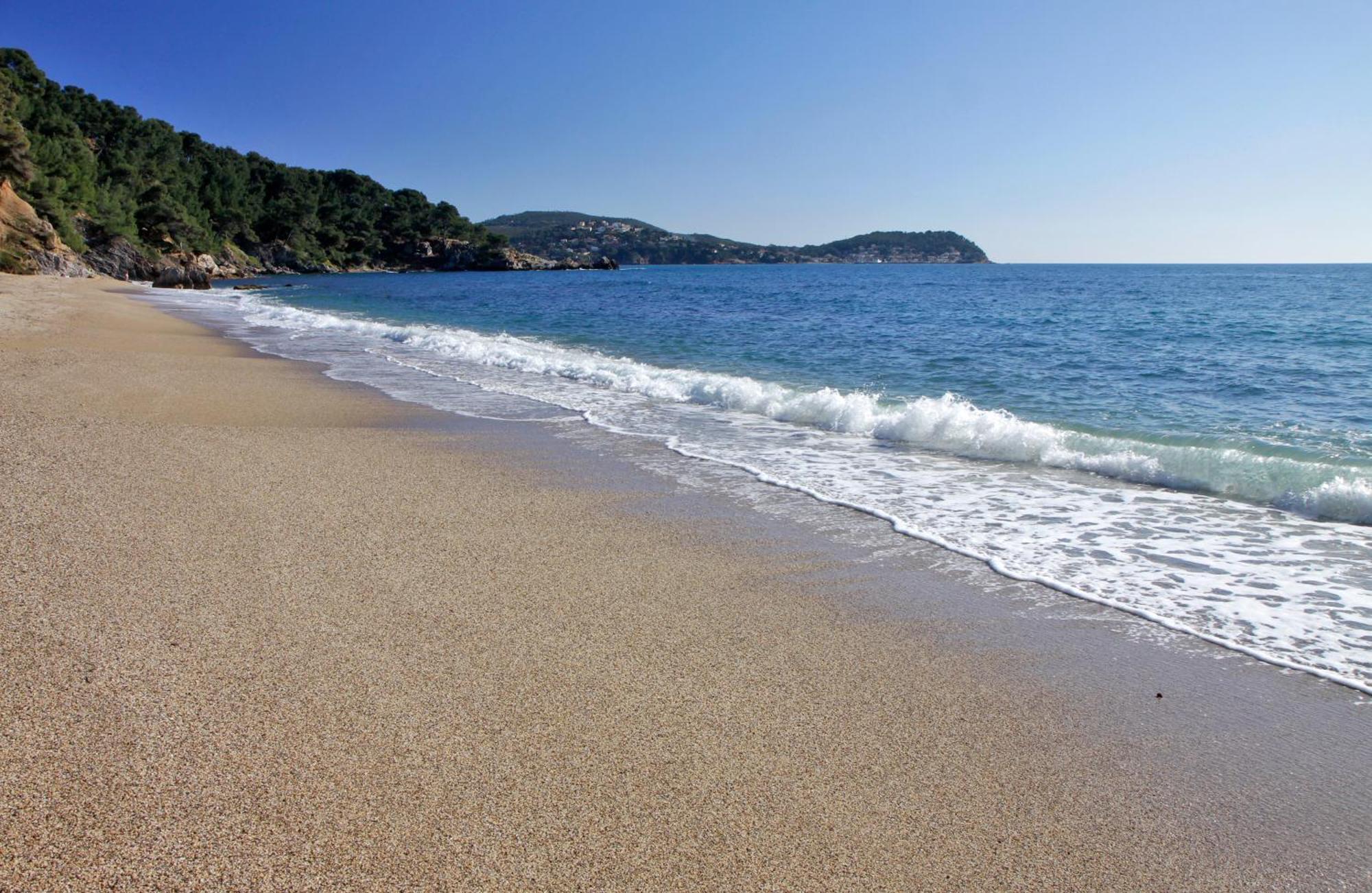 A Deux Pas De La Plage De Sable Le Pradet Bagian luar foto